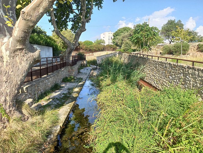 Site archéologique de Tholon (Maritima Avaticorum)