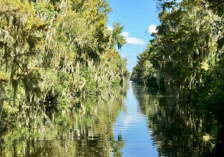 Tour en bateau dans les bayous (Parc National Jean Lafitte) - Nouvelle Orléans