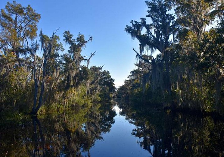 Tour en bateau dans les bayous (Parc National Jean Lafitte) - Nouvelle Orléans