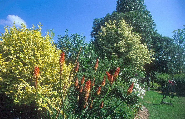 Sculptures et Jardin