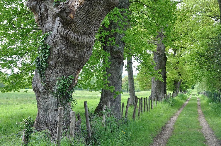 Sentier d'interprétation du petit promeneur