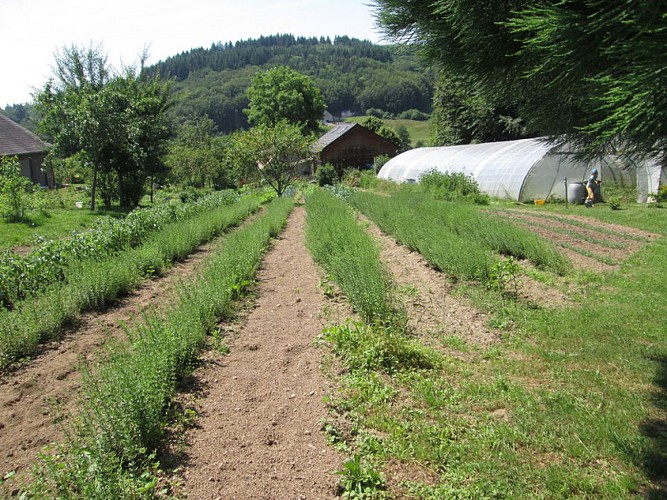 Jardin du Centaure_1