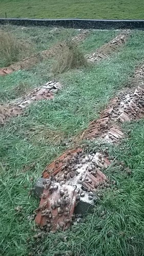 Escargots des Plaines