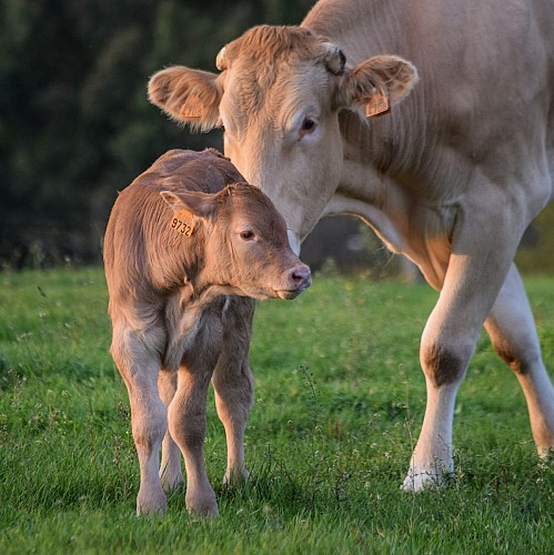 La ferme de Valérie