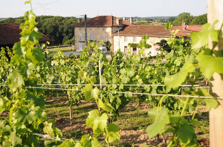 Les Vignes du Repaire de Noblat