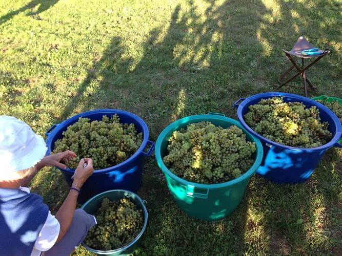 Les Vignes du Repaire de Noblat