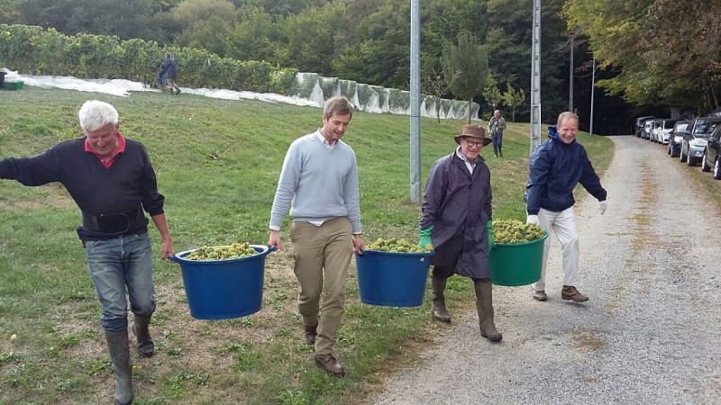 Les Vignes du Repaire de Noblat