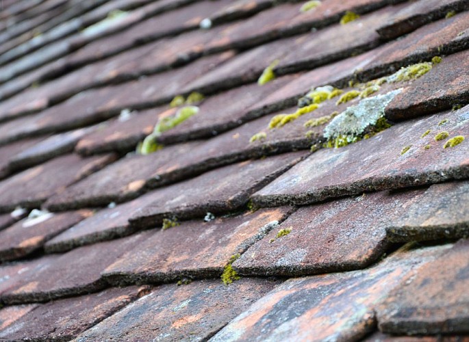 Tuilerie Aupeix - Musée de la Terre Puycheny 