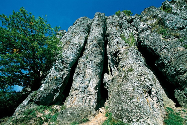 Les Orgues de Bort