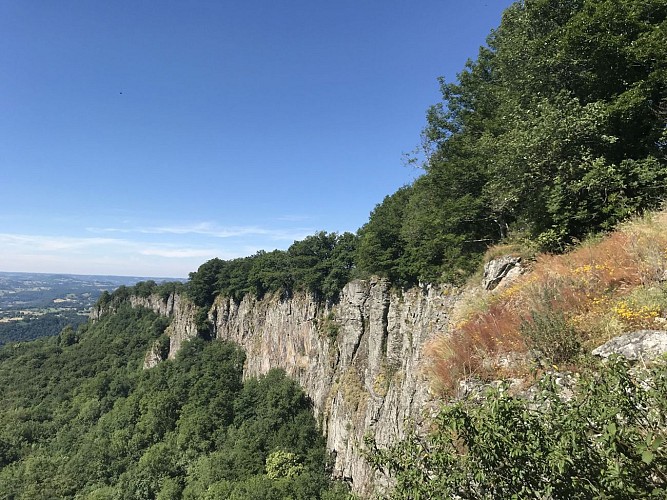 OrguesdeBort©S.Dubois