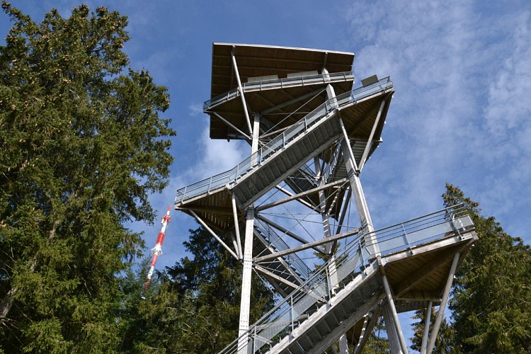 Tour panoramique du Mont Bessou