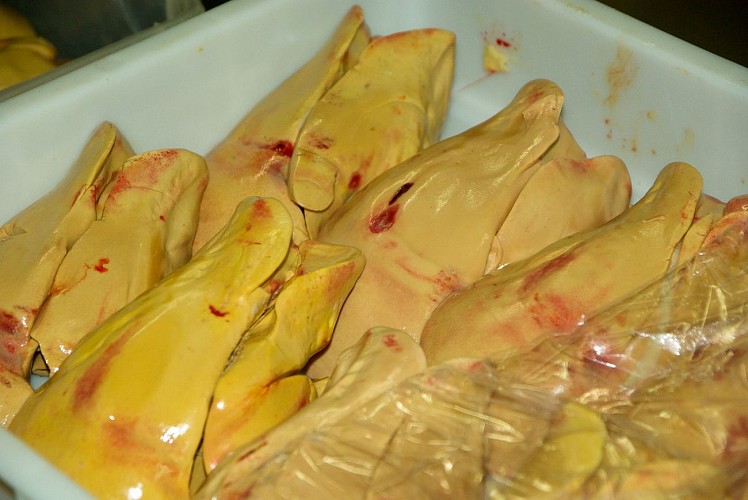 Foie gras_2