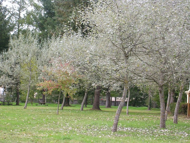 Park of Arliquet