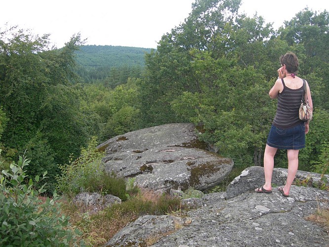 Roches Brunagères_2