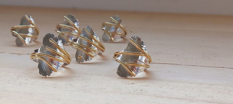 20231118_103128 (Copier)