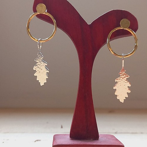 20231111_150925 (Copier)