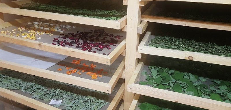 L'Or des Simples - Plantes aromatiques et médicinales, tisanes, hydrolats, encens, coulis, gelées et miels