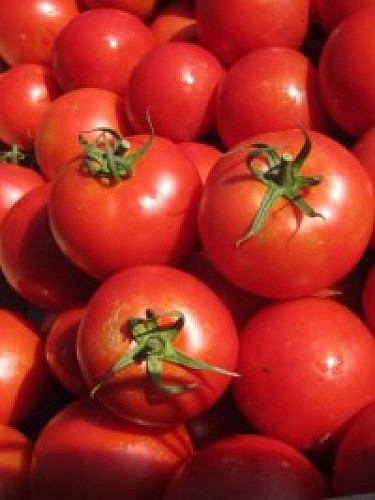 Les Serres de benoît