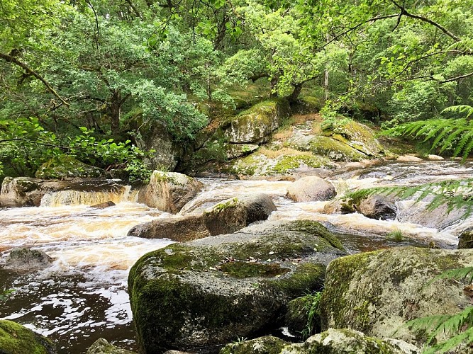 Les Rochers de Négremont, à Rempnat_2