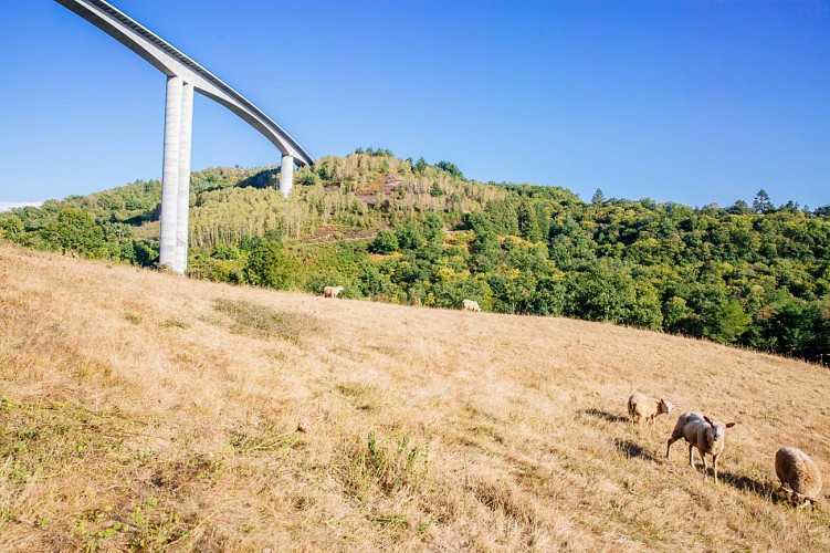 Le viaduc du Pays de Tulle_3