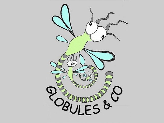 ATELIER - Globules and Co_1