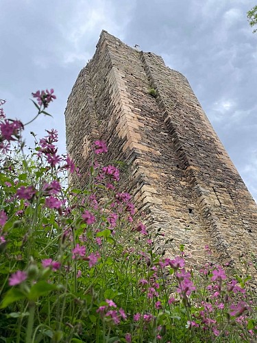 tour Jeannette Châlucet