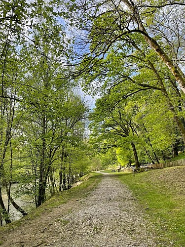 Ligoure à Châlucet copie