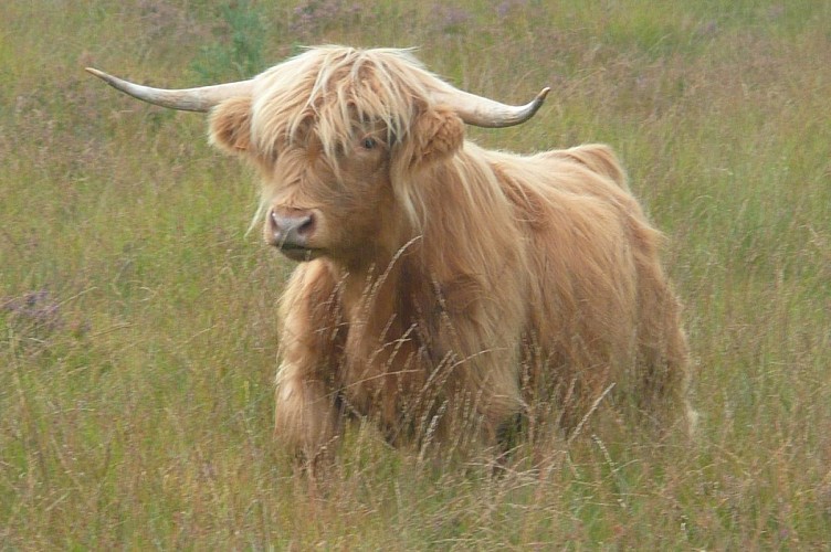 La ferme de Jolie Fleur