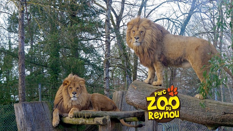 Parc zoologique et paysager du Reynou