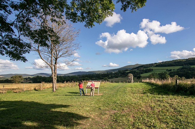 Statue-menhir de la Pierre Plantée (Peyro Levado)