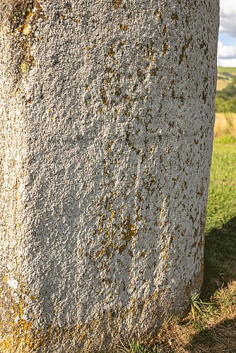 Statue-menhir de la Pierre Plantée (Peyro Levado)