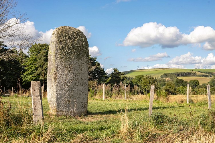 Statue-menhir de la Pierre Plantée (Peyro Levado)