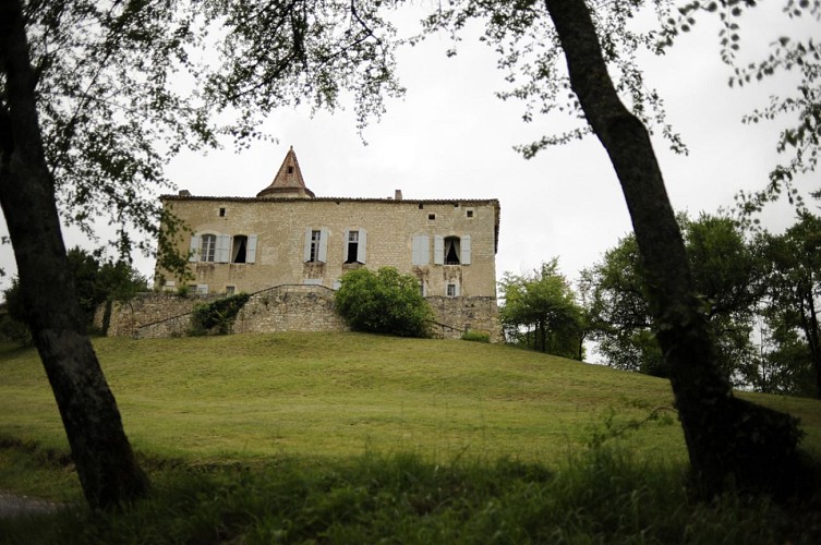 The Cayla Chateau-Museum