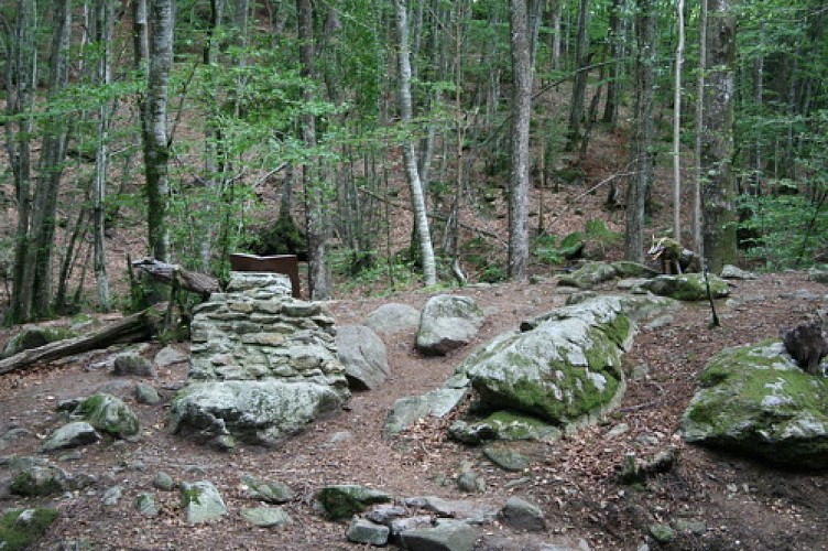 Forêt Domaniale de Lacaune