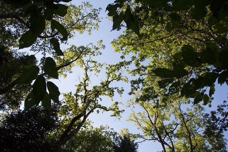 Forêt Départementale de Sérénac