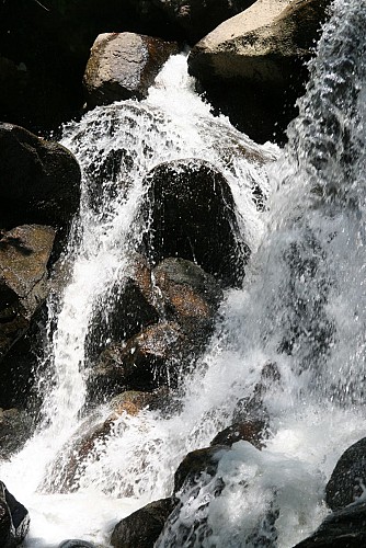 Cascade du Saut de la Truite