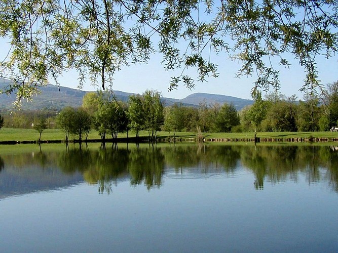 Picnic area at Domaine d'En Laure