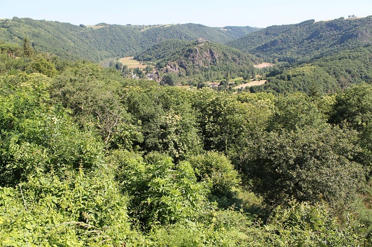 Point de vue sur la Presqu'île d'Ambialet
