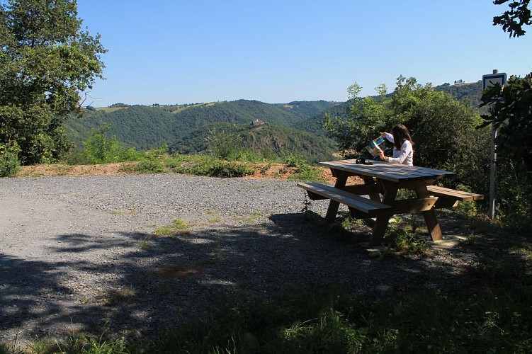 Point de vue sur la Presqu'île d'Ambialet