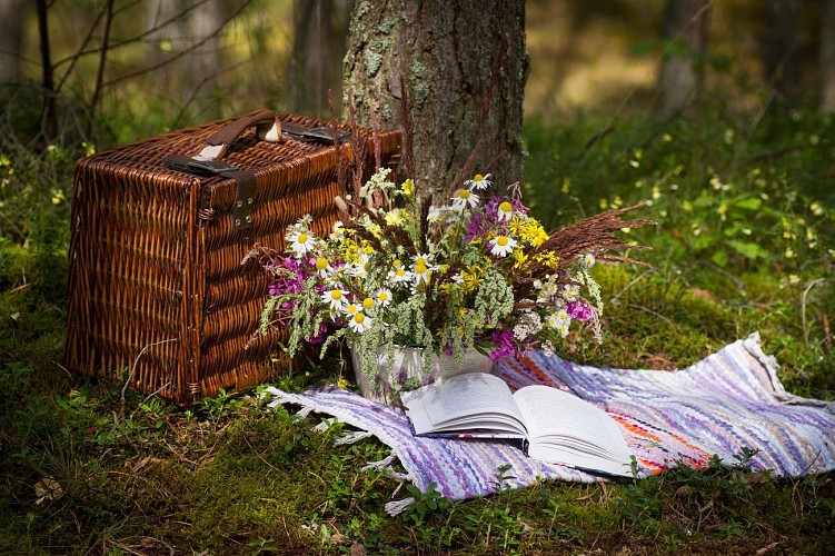 Picnic area of La Halle