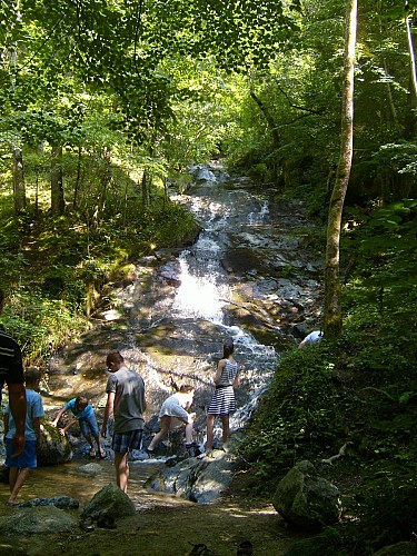 Cascada Paradis