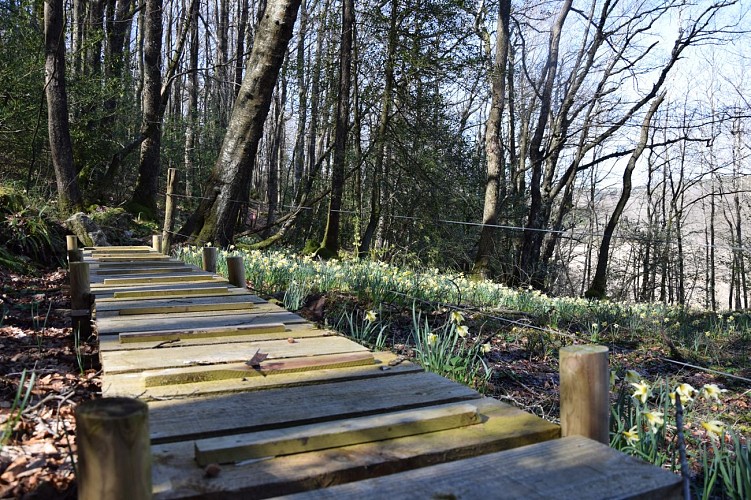 Tourbières / sagnes de Canroute