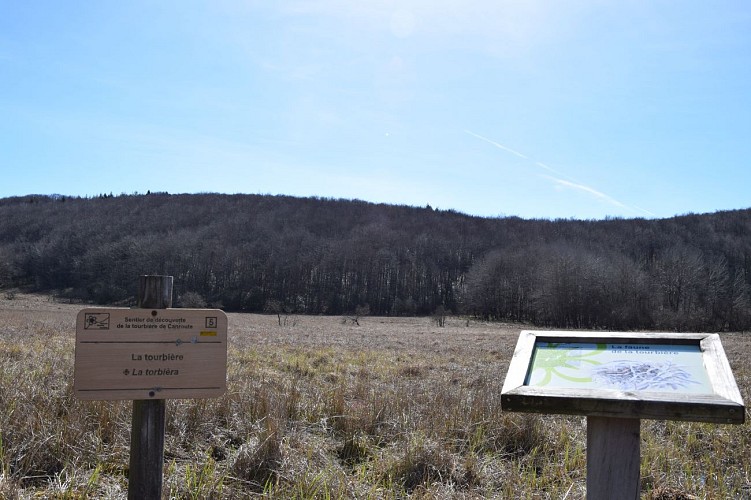 Tourbières / sagnes de Canroute