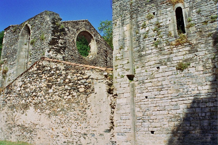 La collégiale St Pierre