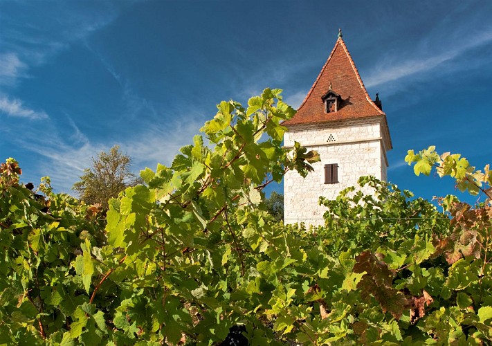 Tablette d'interprétation Andillac le vignoble romantique