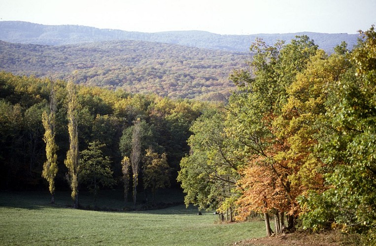 Tablette d'interprétation La citadelle de Castelnau