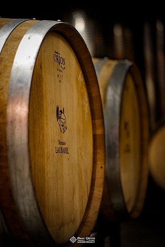 Tablette d'interprétation La citadelle de Castelnau