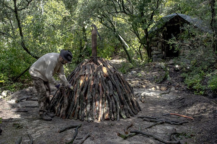 Tablette d'interprétation dans la forêt de Sivens