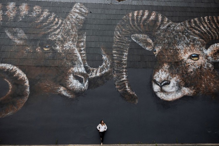 Murs et Façades Street Art d'Aussillon