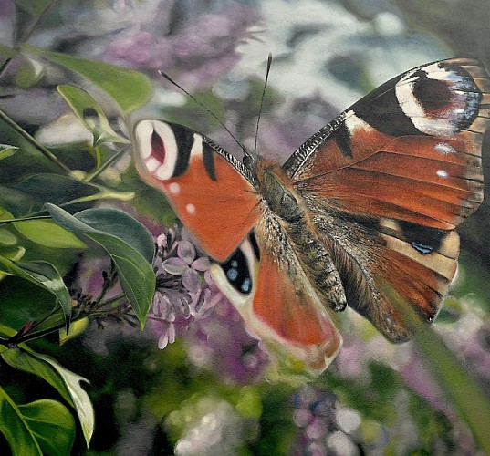 Murs et Façades Street Art d'Aussillon